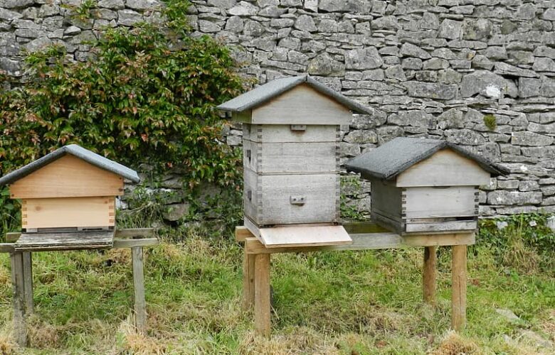 Čebelarska tehtnica je izjemno dobrodošel pripomoček v čebelarstvu