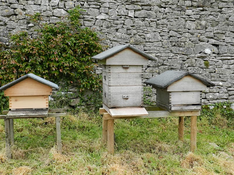 Čebelarska tehtnica je izjemno dobrodošel pripomoček v čebelarstvu